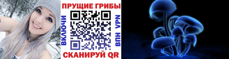 Псилоцибиновые грибы мицелий  сколько стоит  Будённовск 